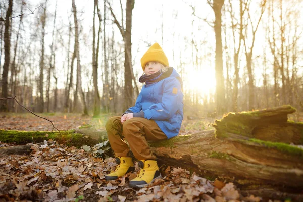 晴れた秋の日に森の中を歩く中で陽気な子供 秋の森を歩いていると 小学生の男の子が楽しそうに遊んでいる 自然の中でアクティブな家族の時間 — ストック写真