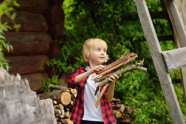 Little Boy Piling Firewood Domestic Garden Sunny Day Child Helps — 图库照片