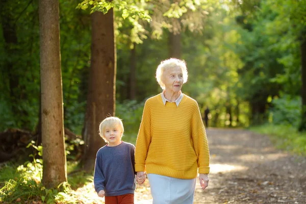 Die Betagte Großmutter Und Ihr Kleines Enkelkind Spazieren Zusammen Sonnigen — Stockfoto