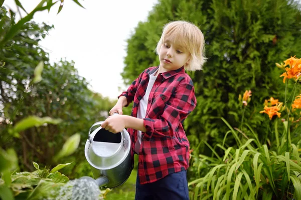 Netter Kleiner Junge Der Einem Sonnigen Sommertag Pflanzen Garten Gießt — Stockfoto