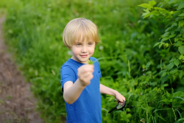 Anaokulu Çocuğu Büyüteçle Doğayı Keşfediyor Küçük Çocuk Elinde Büyüteçle Yapraklara — Stok fotoğraf