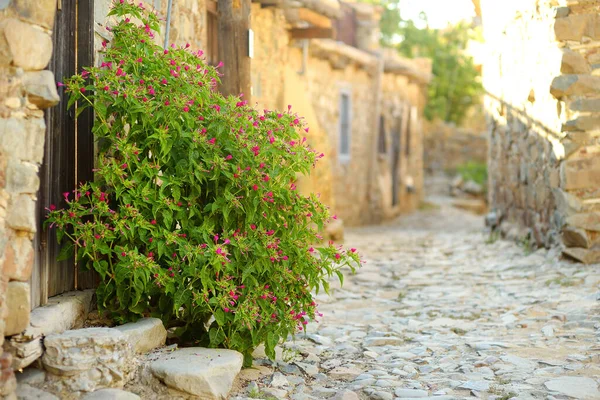 Straat Van Het Oude Dorp Phicardou Fikardou Cyprus Dit Prachtige — Stockfoto