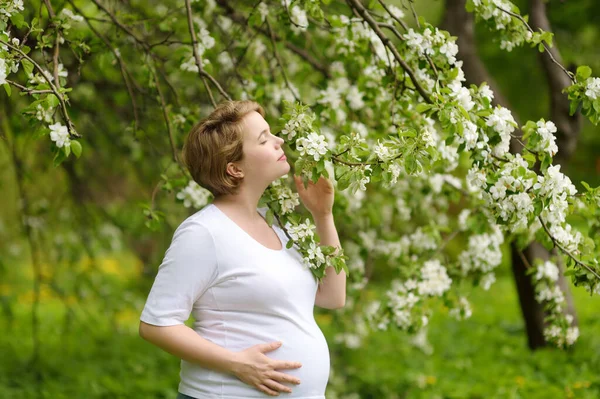 Portrait Beautiful Pregnant Young Woman Smelling Sakura Spring Park Expectant — стоковое фото