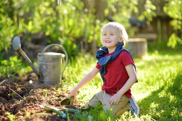 Preschooler Boy Digging Shovel Backyard Summer Sunny Day Little Gardener —  Fotos de Stock