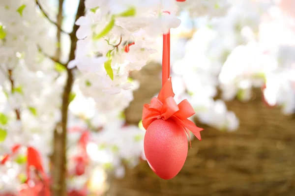 Foto Primo Piano Uovo Pasqua Rosso Che Pende Ramo Melo — Foto Stock