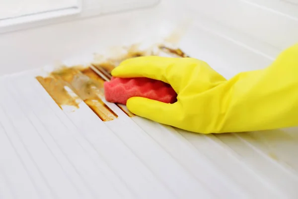 Person Protective Gloves Cleaning Refrigerator Mold Household Chores Cleaning Services — ストック写真