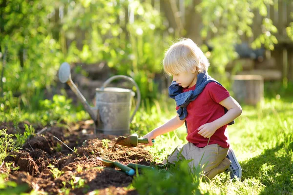 Preschooler Boy Digging Shovel Backyard Summer Sunny Day Little Gardener — ストック写真