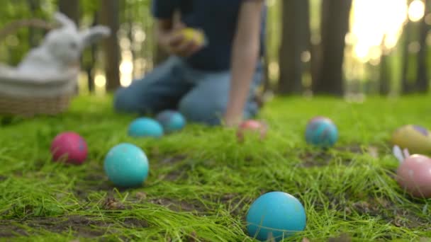 Little Boy Hunting Egg Spring Garden Easter Day Traditional Festival — Video