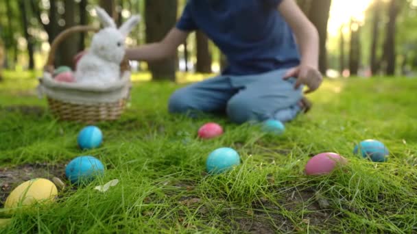 Ragazzino Caccia Uova Nel Giardino Primaverile Giorno Pasqua Festa Tradizionale — Video Stock