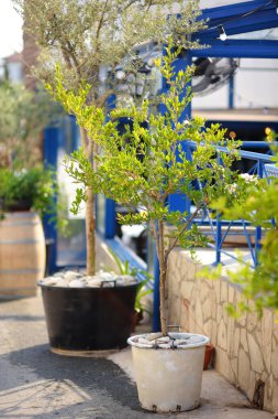 Boş ve şık bir açık hava kafesi. Şık bir restoran. Yemek servisi..
