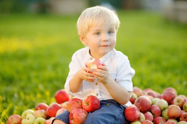 Cute Toddler Boy Sitting Large Heap Apples Eating Ripe Apple — Foto de Stock