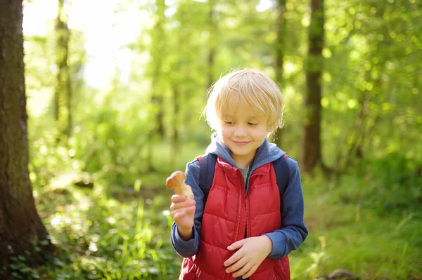 Das Vorschulkind Pflückt Den Speisepilz Bei Einem Waldspaziergang Mit Seinen — Stockfoto