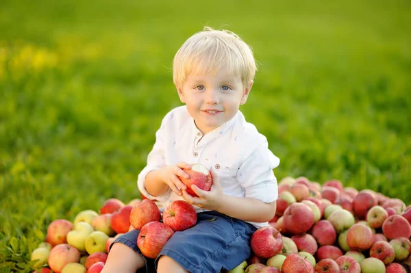 Roztomilý Batole Chlapec Sedí Velké Hromadě Jablek Jíst Zralé Jablka — Stock fotografie