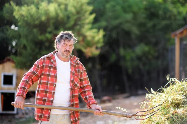 Handsome Mature Farmer Turns Hay Apitchfork Backyard Farm Growing Livestock — Stock Photo, Image