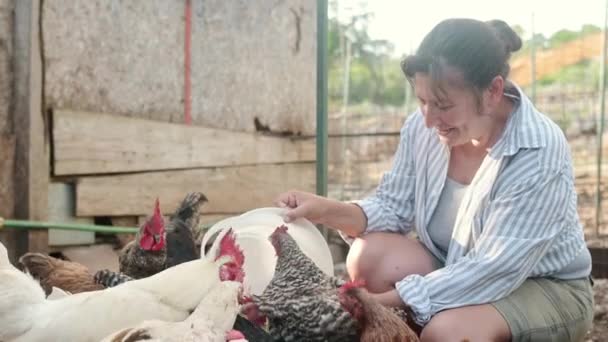 Kvinnlig Bonde Som Utfodrar Kycklingar Med Biodynamisk Mat Gårdens Hönshus — Stockvideo