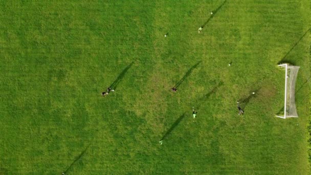 从空中俯瞰运动场和执行战术计划的足球队 足球运动员练习踢球和防守 足球对活跃的男女来说是一项伟大的运动 — 图库视频影像
