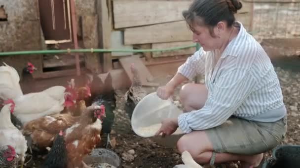 Bäuerin Füttert Hühner Aus Bio Futter Hühnerstall Käfigfreie Hühner Liegen — Stockvideo
