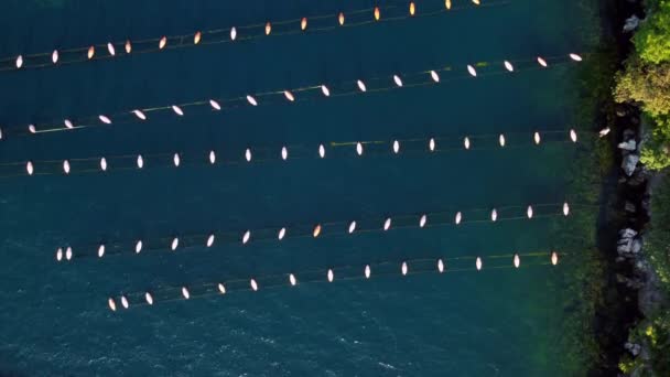 Drohnenaufnahmen Aus Der Luft Von Der Fisch Und Austernzucht Klaren — Stockvideo
