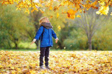 Küçük çocuk güneşli bir sonbahar gününde ormanda gezinirken eğleniyor. Akçaağaç yaprağı oynayan çocuk. Bebek yaprakları fırlatıyor. Doğada aktif aile zamanı. Küçük çocuklarla yürüyüş. Yapraklar hışırdıyor.