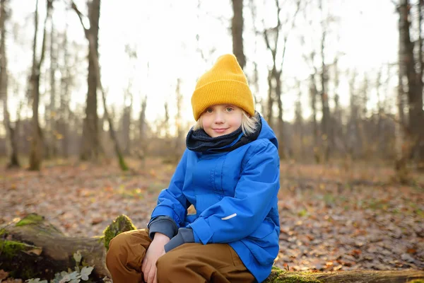 Cheerful child during walk in the forest on a sunny autumn or winter day. Preschooler boy is having fun while walking through the autumn forest. Active family time on nature.