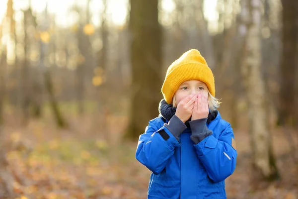 Child Warming Froze Hands Walk Forest Cold Autumn Winter Day — Stockfoto