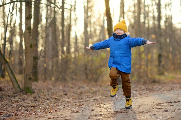 Cheerful Child Walk Forest Sunny Autumn Winter Day Preschooler Boy — Stock fotografie