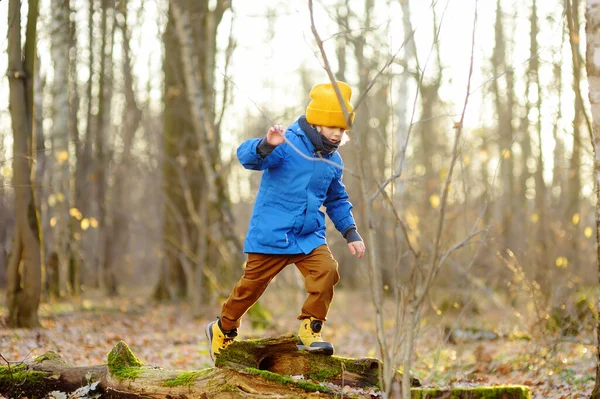 Весела Дитина Під Час Прогулянки Лісі Сонячний Осінній День Хлопчик — стокове фото