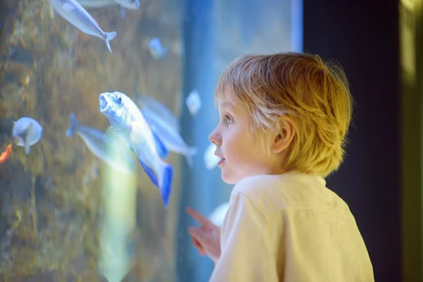 Little Boy Explore Fishes Aquarium Elementary Student Excursion Seaquarium Biology — стоковое фото