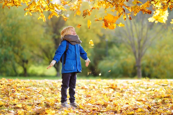 秋の晴れた日に森の中を散歩中の小さな男の子 カエデの葉を遊んでいる子供 赤ん坊は葉を投げ上げる 自然の中でアクティブな家族の時間 小さな子供と一緒にハイキング 葉がざわめき — ストック写真