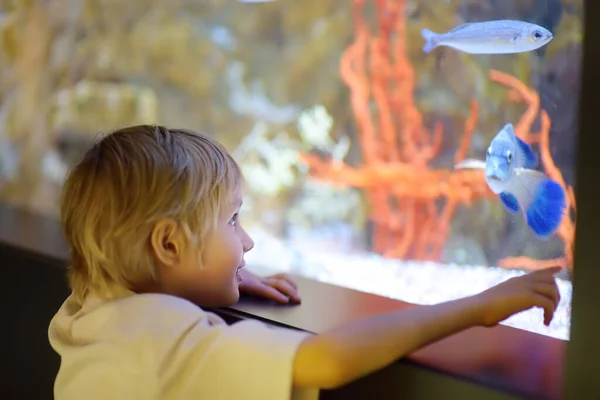 Little Boy Watches Fishes Aquarium Child Exploring Nature Elementary Student — Stock Photo, Image