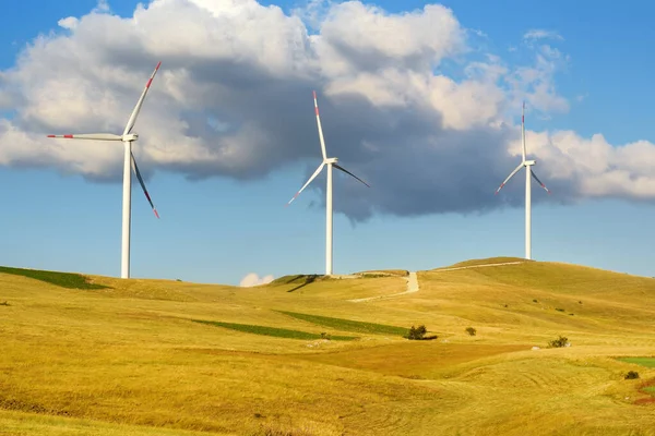 Power stations for renewable electric energy production. Windmills on sunny summer day. High wind turbines for generation electricity. Green energy concept.