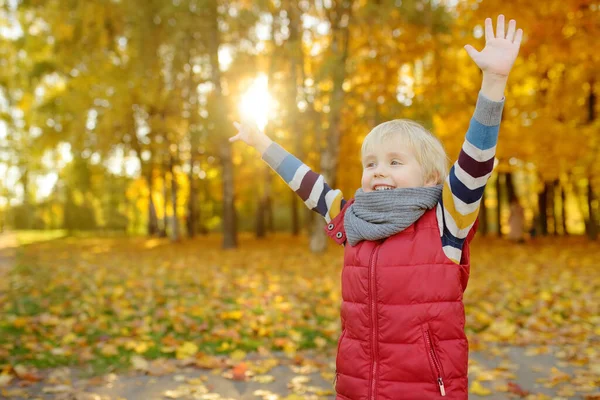 Little Boy Having Fun Stroll Public Park Sunny Autumn Day — Zdjęcie stockowe