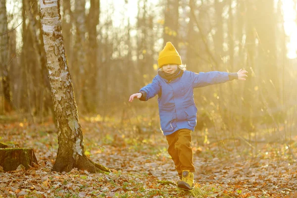 Cheerful Child Walk Forest Sunny Autumn Winter Day Preschooler Boy — Stockfoto