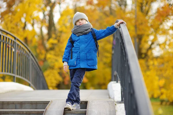 Μικρό Αγόρι Που Διασκεδάζει Κατά Διάρκεια Της Βόλτας Στο Πάρκο — Φωτογραφία Αρχείου