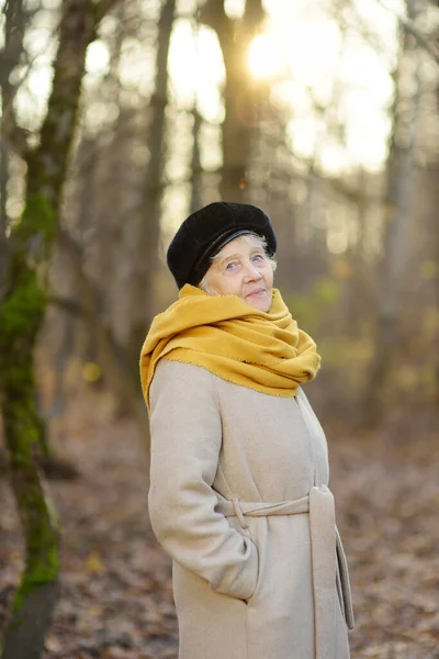 Porträt Der Schönen Seniorin Beim Spaziergang Herbstpark Eine Alte Dame — Stockfoto