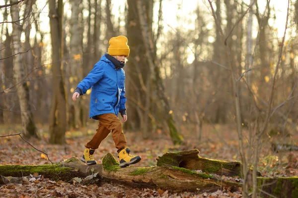 Enfant Joyeux Lors Une Promenade Dans Forêt Par Une Journée — Photo