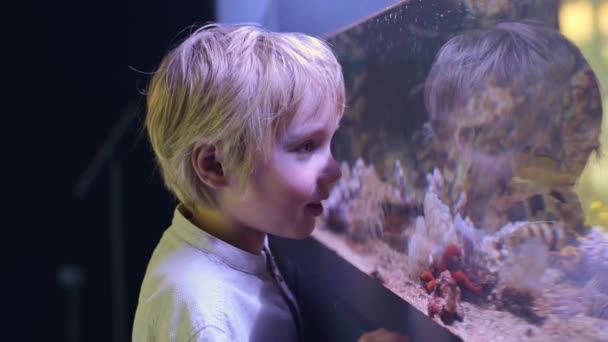 Kleine Jongen Kijkt Naar Vissen Het Aquarium Kind Verkent Wereld — Stockvideo