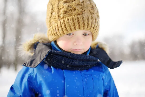 Portret Van Kleine Overstuur Jongen Tijdens Een Wandeling Besneeuwd Winterpark — Stockfoto