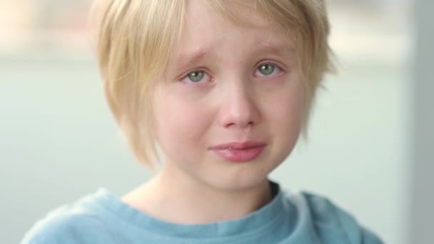 Close Portrait Crying School Age Child Cute Boy Blond Hair — Stock Video