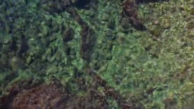 Adriyatik Denizi 'nin en saf sularının en iyi görüntüsü. Sıcak bir yaz gününde şeffaf deniz tuzlu suyu ve güneş parlıyor. Doğanın güzelliği. Okyanus sörfünün drone videosu