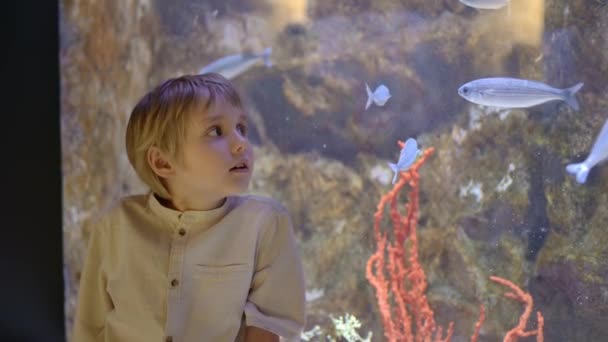 Kleine Jongen Kijkt Naar Vissen Het Aquarium Kind Verkent Wereld — Stockvideo