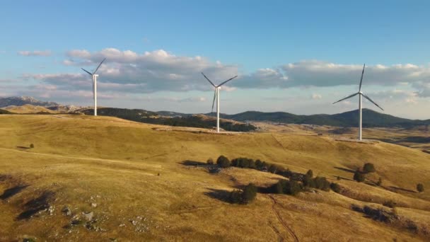 Drone Video Van Elektriciteitscentrales Voor Opwekking Van Hernieuwbare Elektriciteit Windmolens — Stockvideo