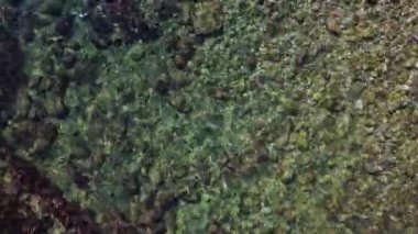 Adriyatik Denizi 'nin en saf sularının en iyi görüntüsü. Sıcak bir yaz gününde şeffaf deniz tuzlu suyu ve güneş parlıyor. Doğanın güzelliği. Okyanus sörfünün drone videosu