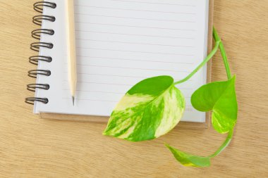 defter ve ahşap kalem geri dönüşüm