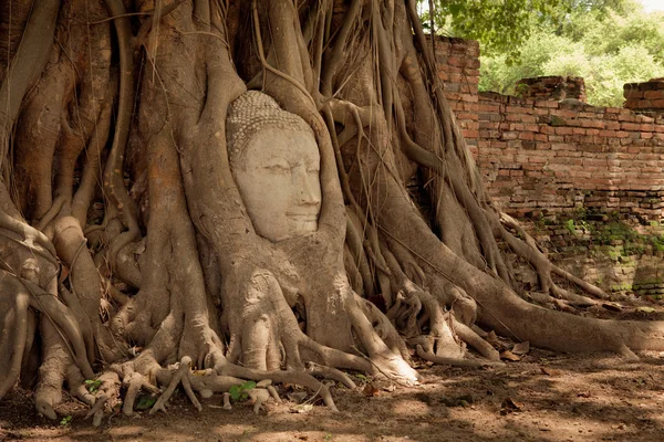 Cabeça de Buda de arenito — Fotografia de Stock