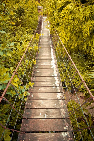 Passerella di corda attraverso — Foto Stock