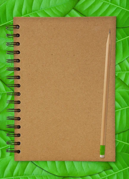 Recycle notebook en houten potlood — Stockfoto