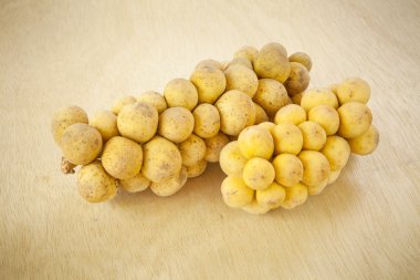 Lansium domesticum