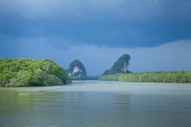 güzel tropik Nehri