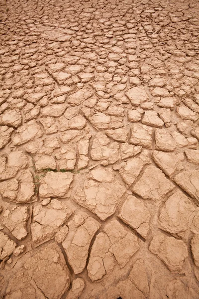 Grunty suche — Zdjęcie stockowe
